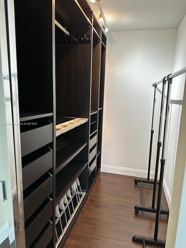 spacious closet with dark wood-type flooring