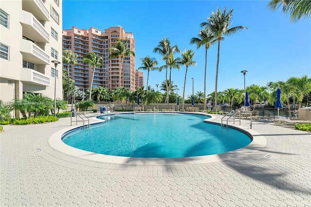 view of pool with a patio area