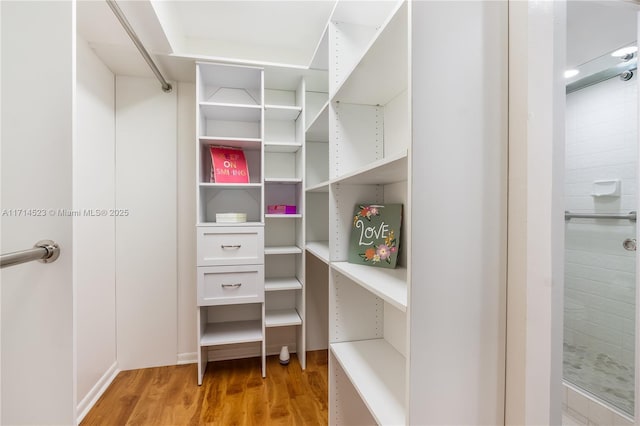 spacious closet featuring light hardwood / wood-style floors