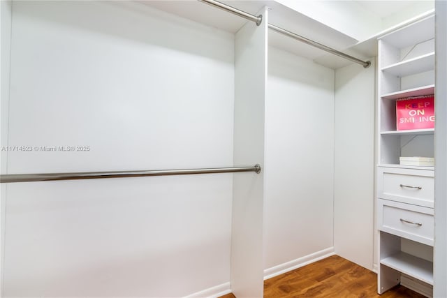 walk in closet featuring dark hardwood / wood-style floors