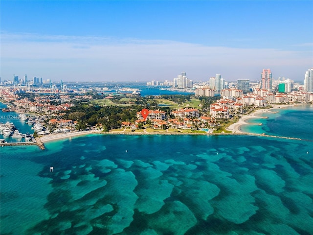 aerial view with a water view and a beach view