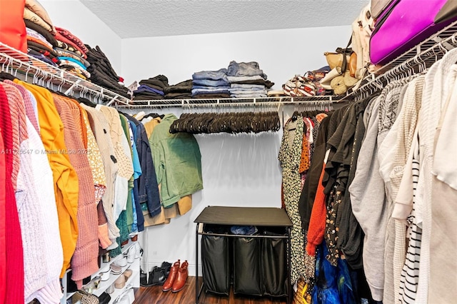 walk in closet featuring hardwood / wood-style floors