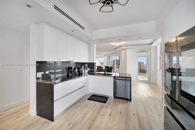 kitchen featuring light hardwood / wood-style flooring, a raised ceiling, white cabinets, appliances with stainless steel finishes, and sink