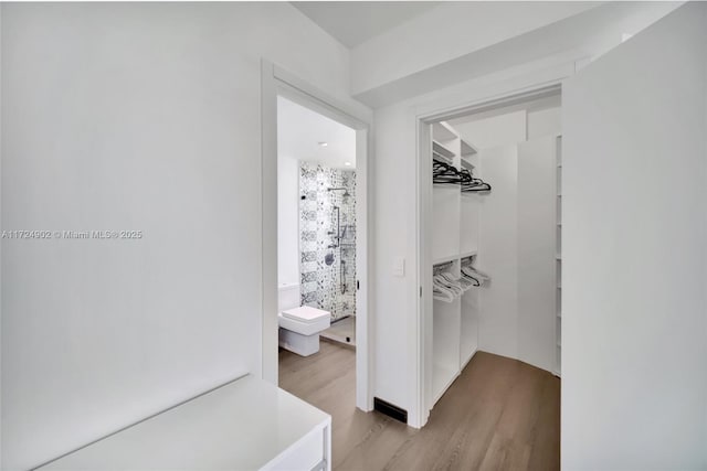 spacious closet featuring light wood-type flooring