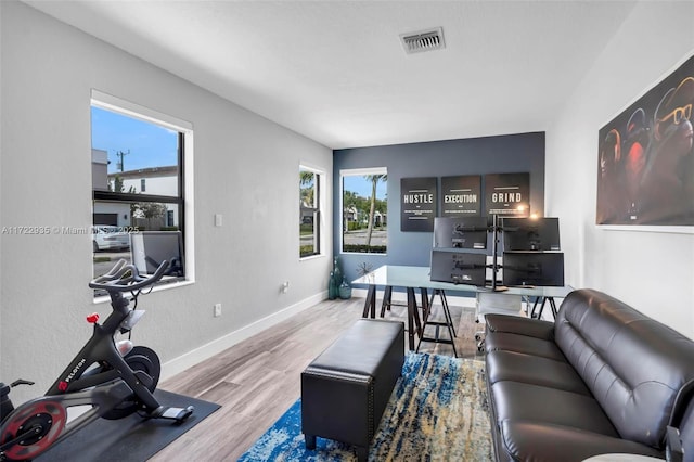 living room featuring hardwood / wood-style flooring