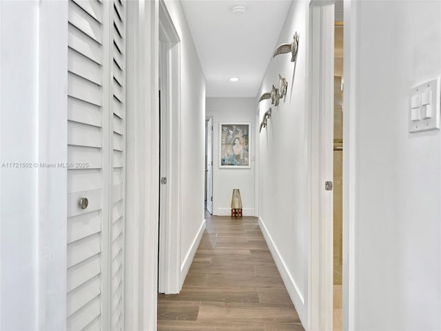 hall featuring dark wood-type flooring