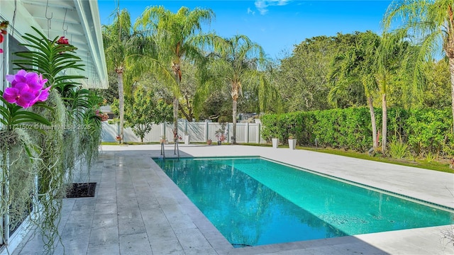 view of swimming pool featuring a patio area