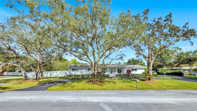 ranch-style home featuring a front lawn