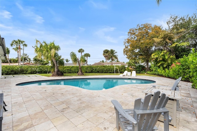 view of swimming pool with a patio area