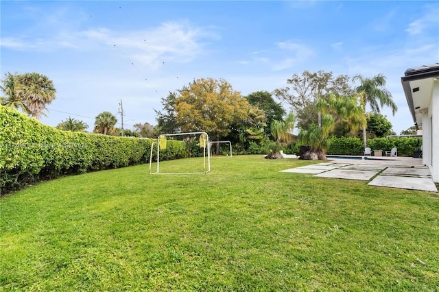 view of yard featuring a patio