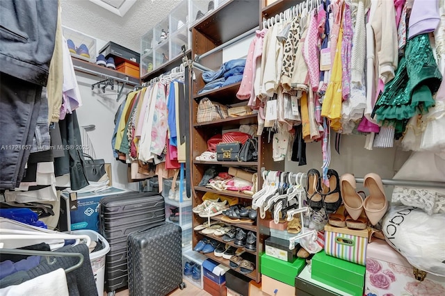 view of spacious closet