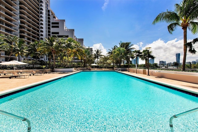 view of swimming pool