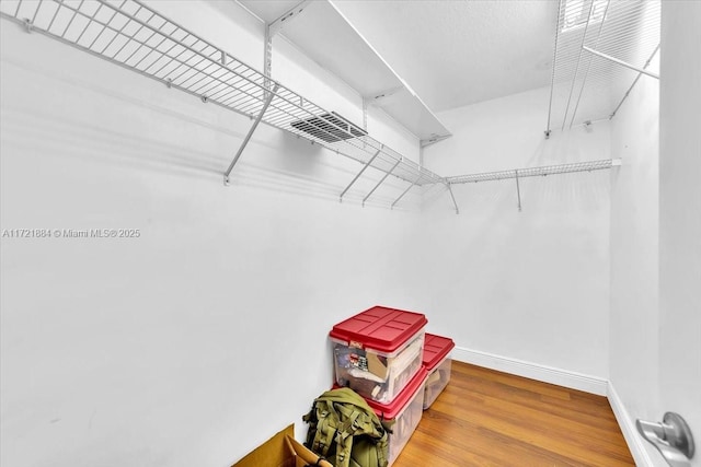 walk in closet featuring wood-type flooring