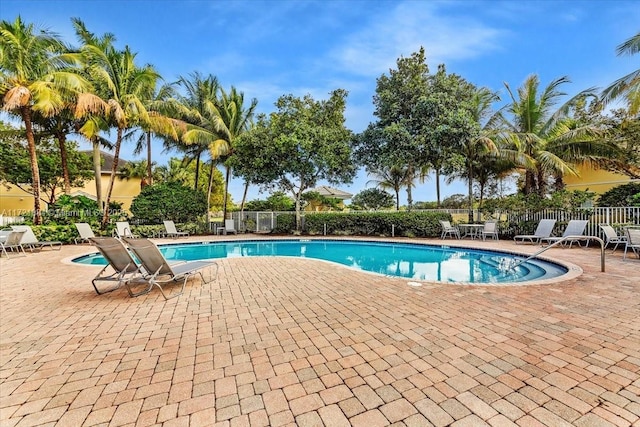 view of swimming pool with a patio