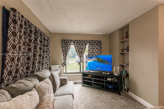 carpeted living room with built in features