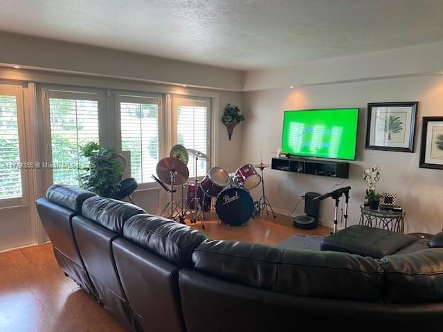 living room featuring a healthy amount of sunlight and hardwood / wood-style floors