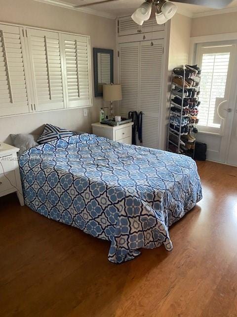 bedroom featuring ceiling fan, ornamental molding, a closet, and wood-type flooring