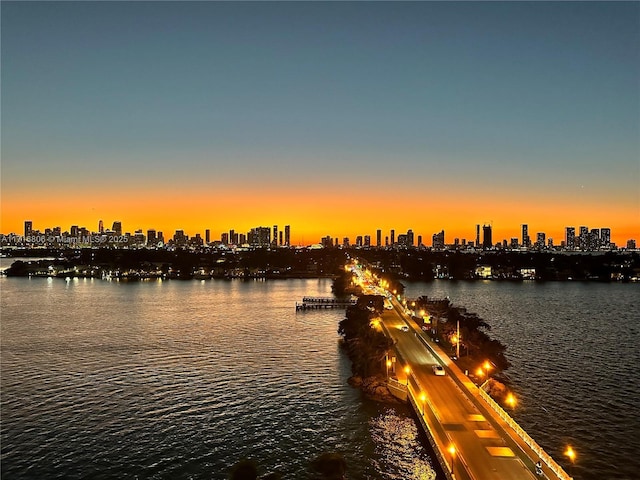 water view featuring a view of city