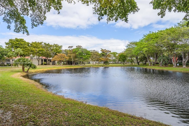 view of water feature