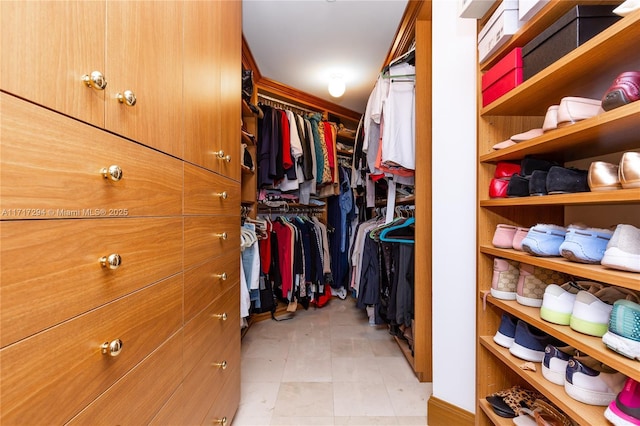 view of walk in closet