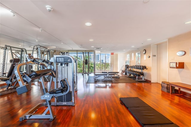 workout area with floor to ceiling windows and hardwood / wood-style flooring