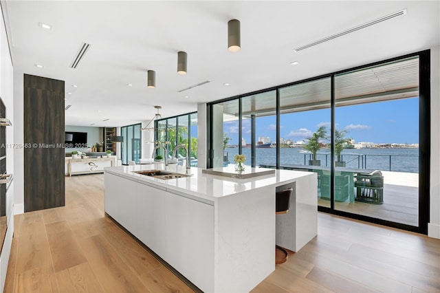 living room with a water view, floor to ceiling windows, sink, and light hardwood / wood-style flooring