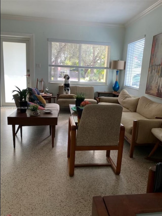 living room with crown molding