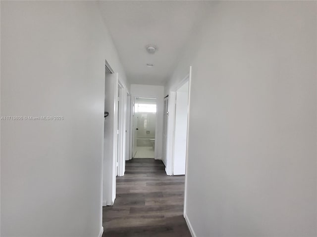 corridor with dark hardwood / wood-style floors