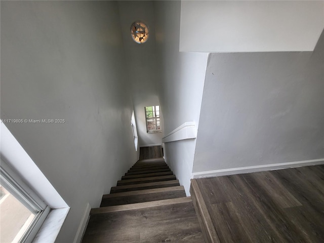 stairway featuring hardwood / wood-style flooring and a healthy amount of sunlight