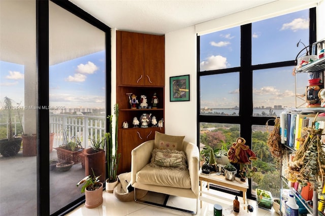 sunroom with a healthy amount of sunlight