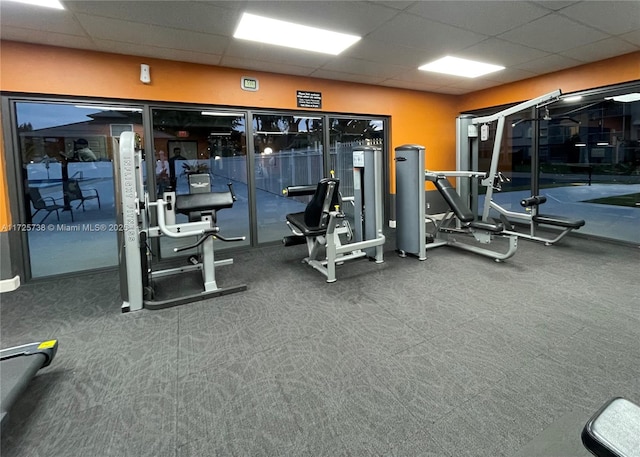 exercise room featuring a paneled ceiling and carpet flooring