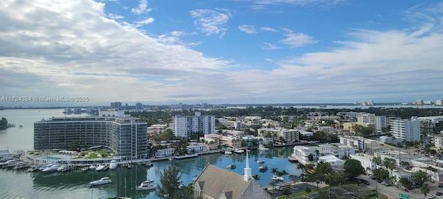 bird's eye view with a water view