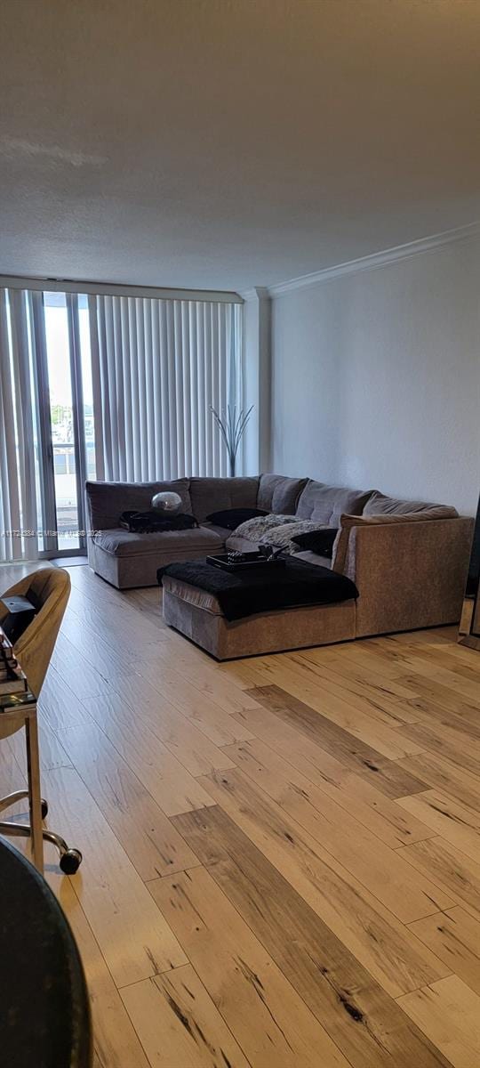 living room featuring light hardwood / wood-style floors and crown molding