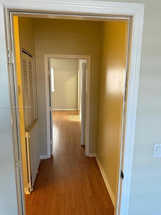 hallway featuring hardwood / wood-style floors