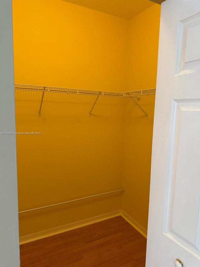 spacious closet featuring wood-type flooring