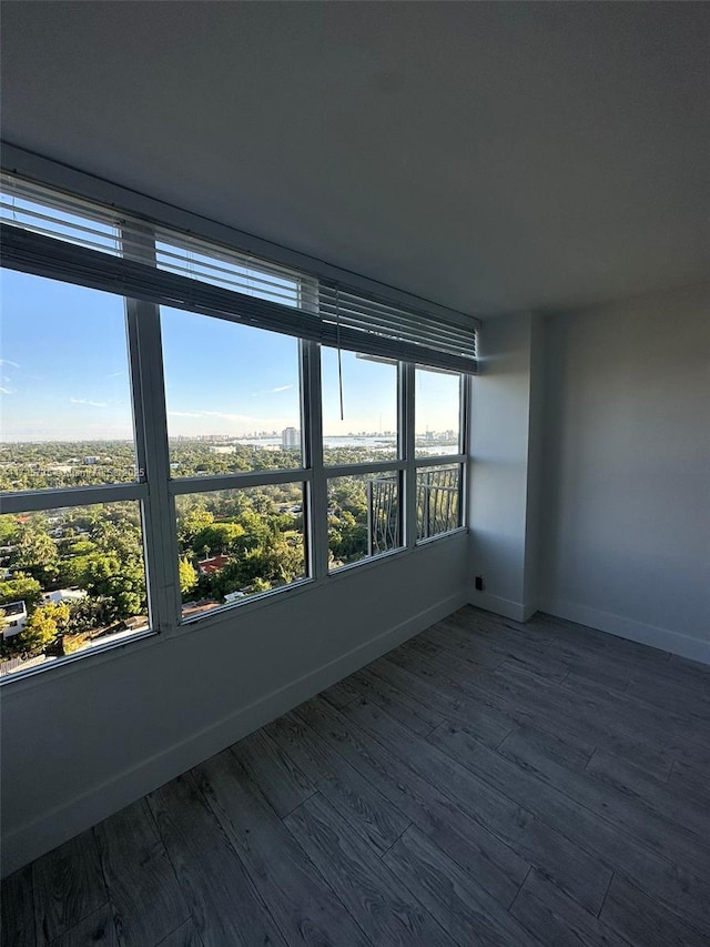 unfurnished room featuring wood-type flooring