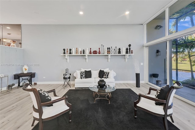 living room with light hardwood / wood-style floors and floor to ceiling windows