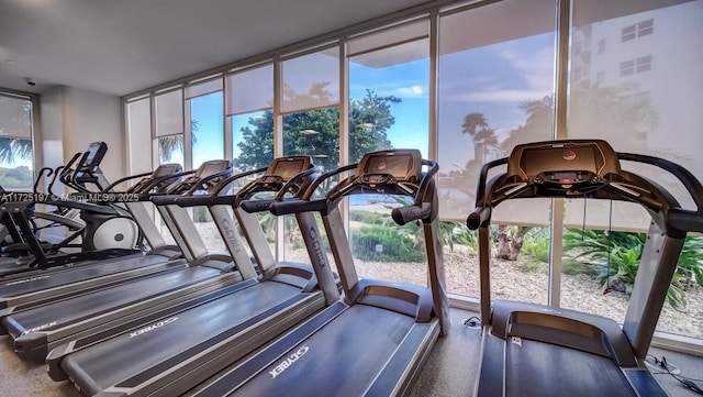 workout area featuring expansive windows and a healthy amount of sunlight