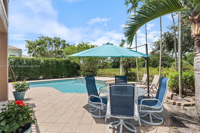 view of swimming pool with a patio