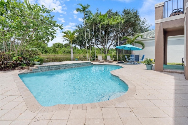 view of pool with a patio