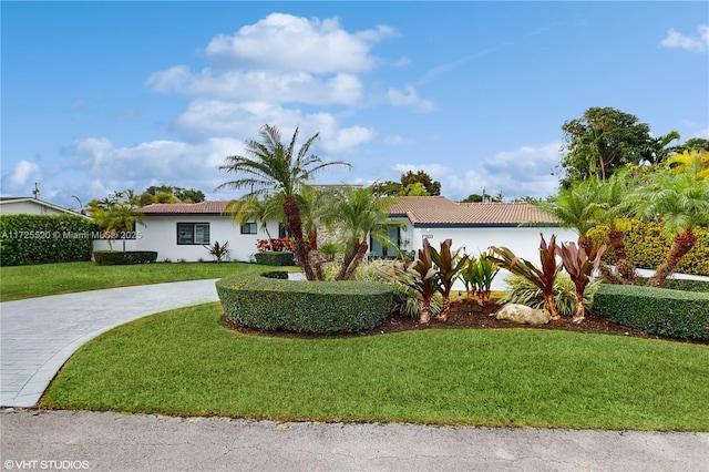 view of front of property with a front lawn, driveway, and stucco siding