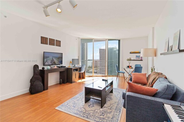 living room featuring rail lighting and hardwood / wood-style flooring