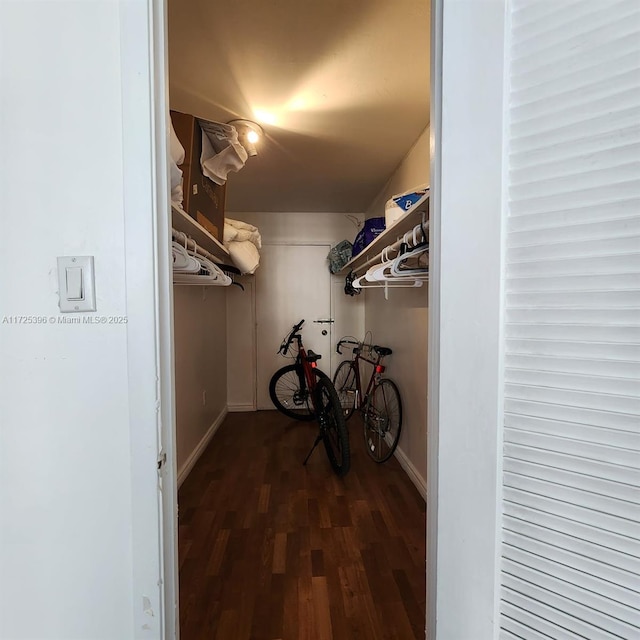 walk in closet featuring dark wood-type flooring