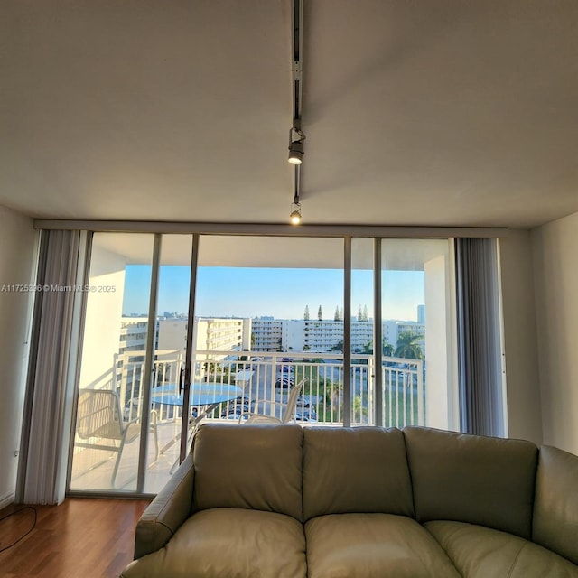 living room with track lighting, hardwood / wood-style floors, and a wealth of natural light