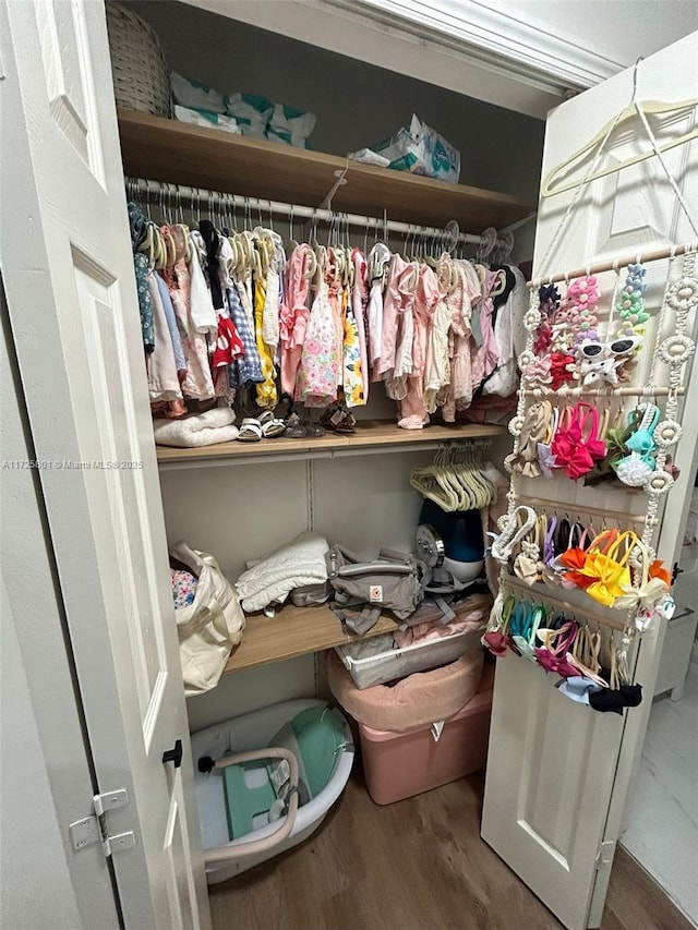 view of closet