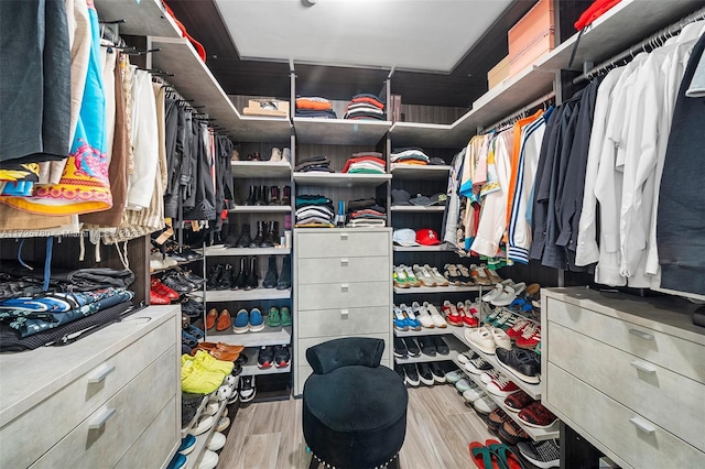 spacious closet featuring light hardwood / wood-style flooring