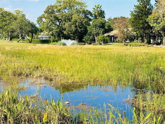 water view