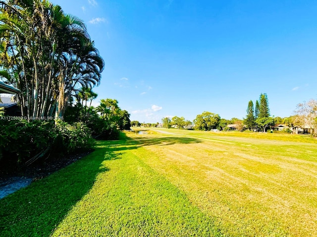 1 E Balfour Rd E, Palm Beach Gardens, FL 33418 - view of green lawn