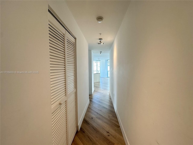 hall with baseboards and wood finished floors