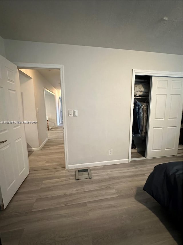 bedroom featuring a closet and wood-type flooring